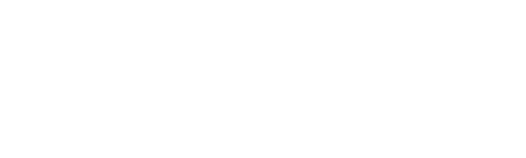Agulha Digital